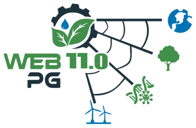 web11